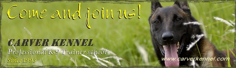 CARVER KENNEL Dog Training | News